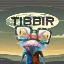 TIBBIR图标